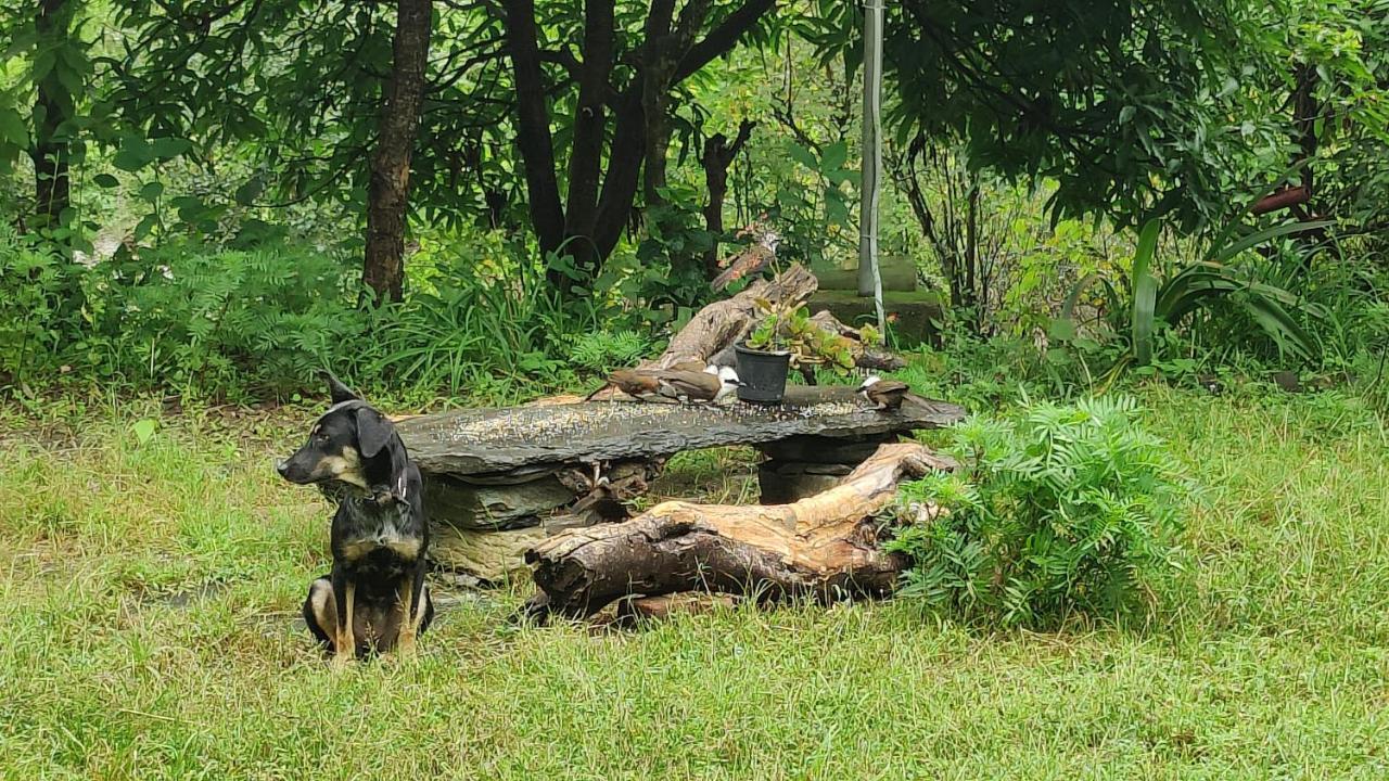Villa Hobo Huts Panuānaula Exterior foto