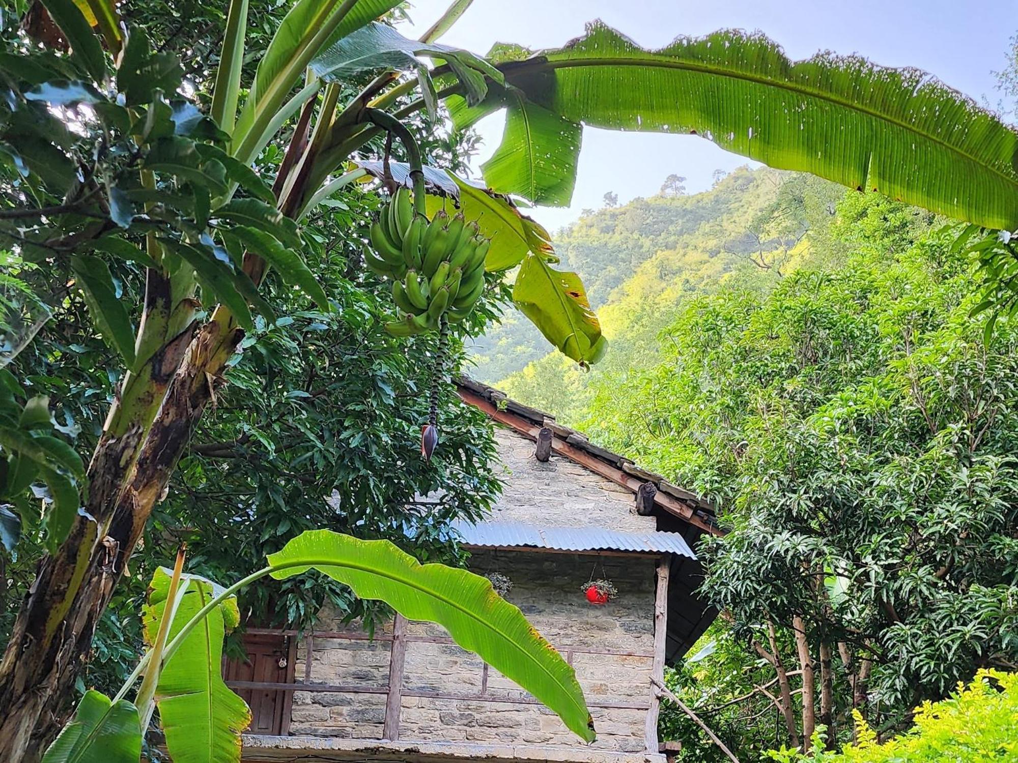 Villa Hobo Huts Panuānaula Exterior foto